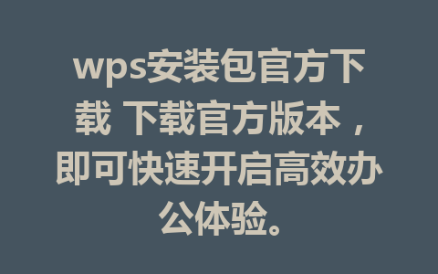 wps安装包官方下载 下载官方版本，即可快速开启高效办公体验。